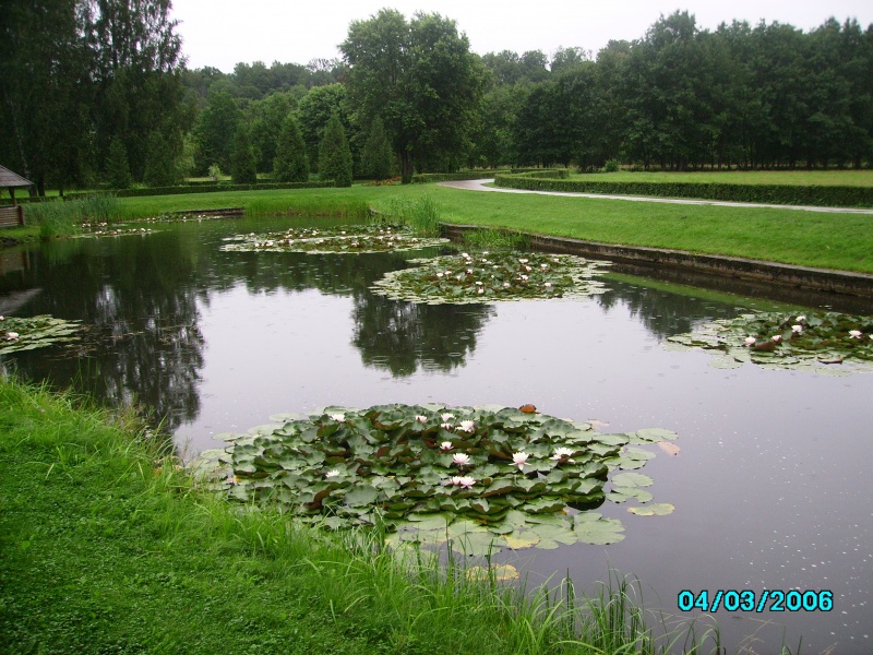 Vaizdas:LELIJŲ ŽIEDELIAI 43.jpg