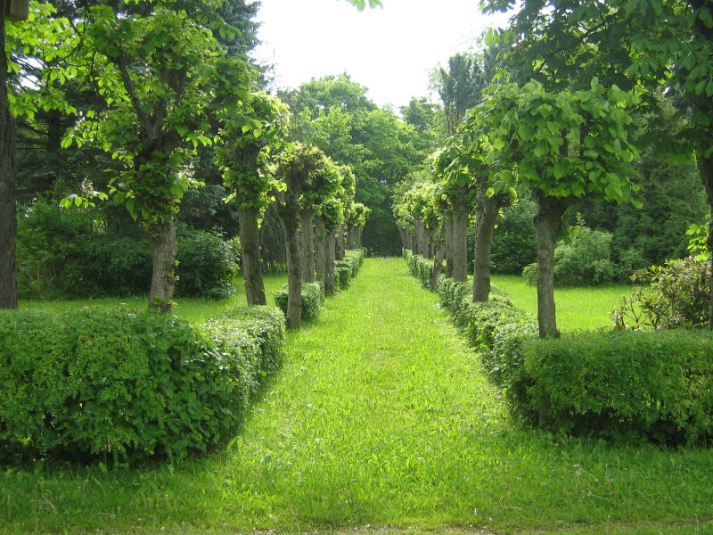 Vaizdas:Girdziai 288.jpg
