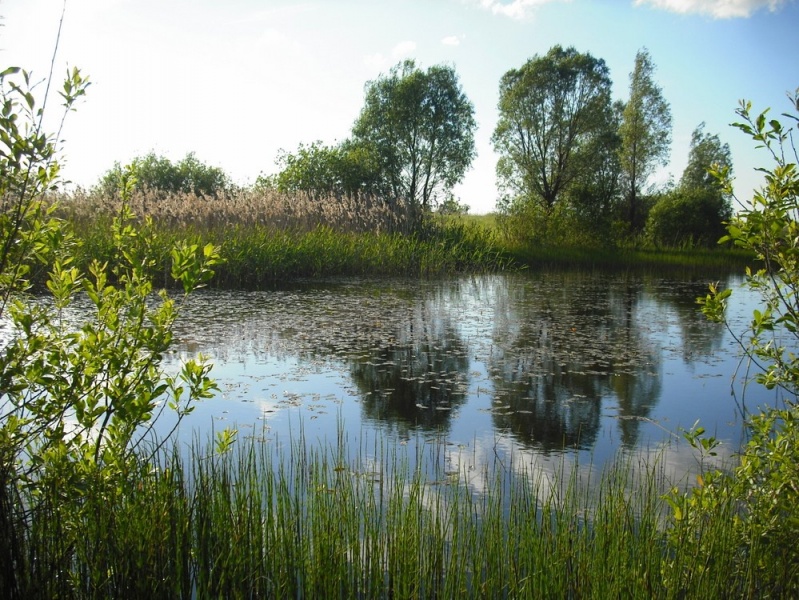 Vaizdas:Molduobės, Gelgaudiškis 121.jpg