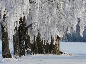 "Naisių Vasaros" pirtelė