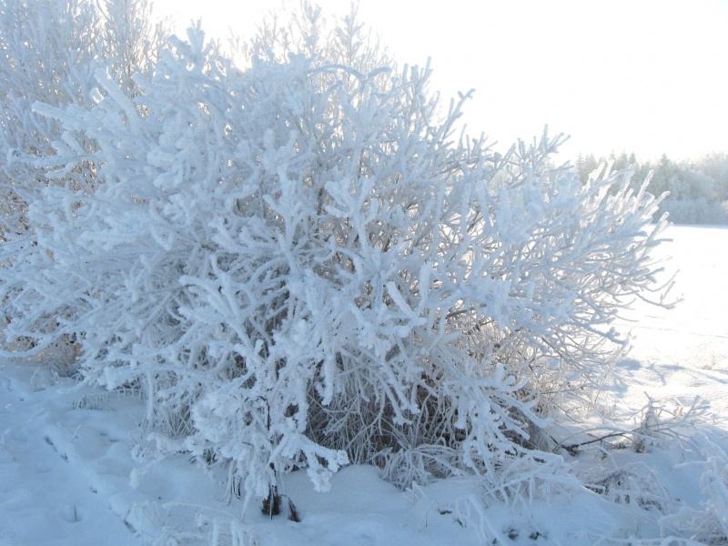 Vaizdas:Kuršėnai 143.jpg