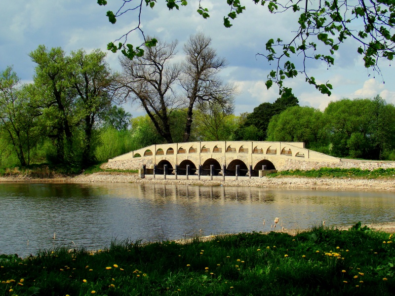 Vaizdas:Pavasario žalumas 773.jpg