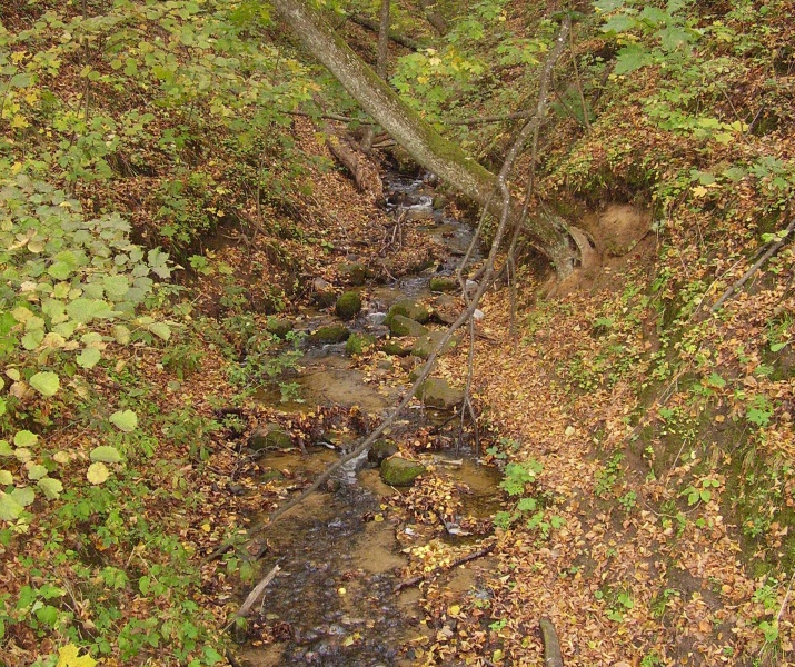 Vaizdas:Rudens paraštės 645.jpg