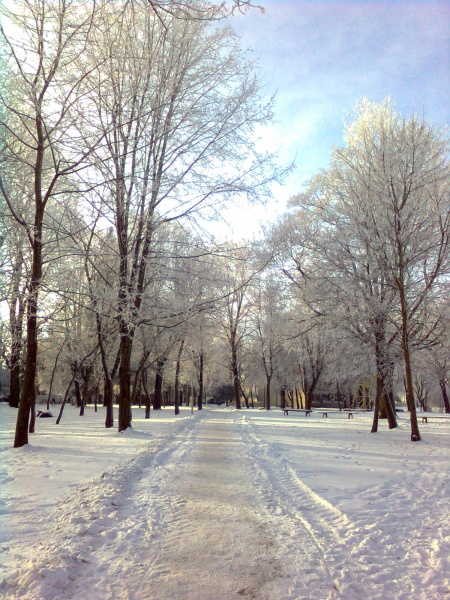 Vaizdas:Parkas žiems 170.jpg