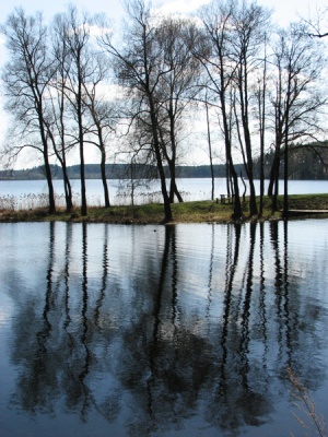 K. Lapinaitės nuotr.