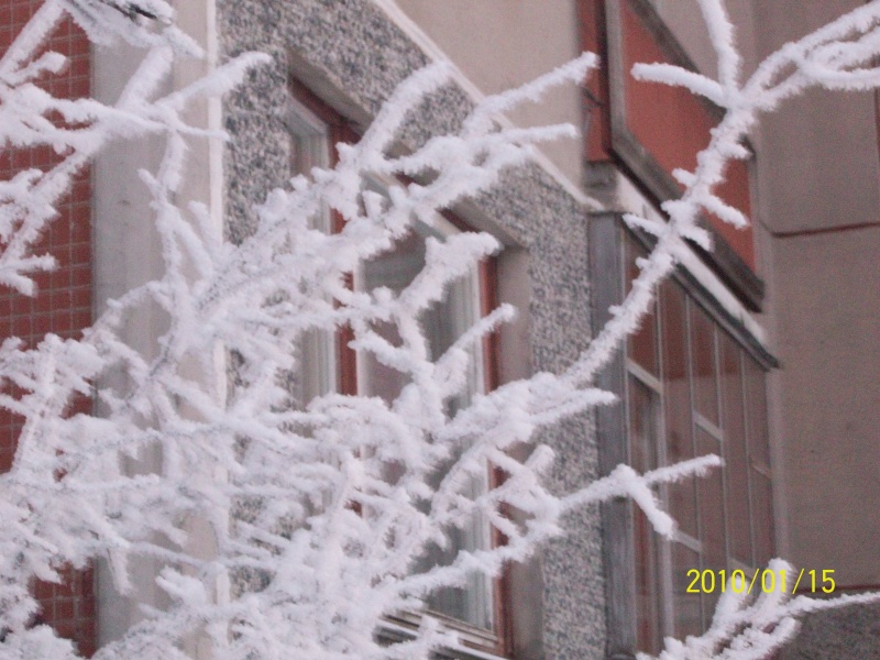 Vaizdas:Kviečių gatvė pabalo 5.jpg