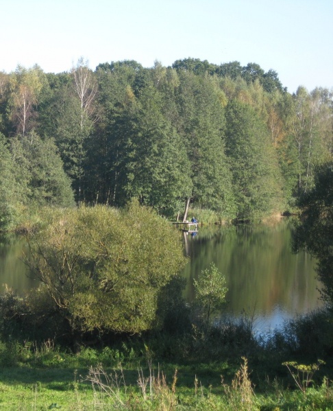 Vaizdas:Tvenkinys 435.jpg