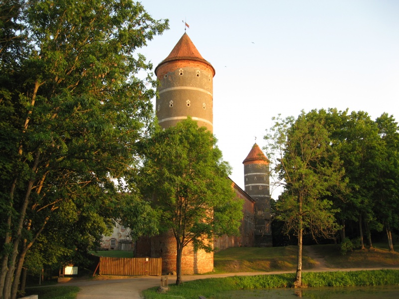 Vaizdas:Panemunės pilis 545.jpg