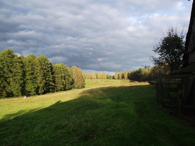 Vaizdas:Saulėtas rudens pavakarys kaime 646.jpg