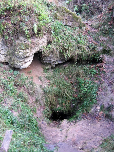 Vaizdas:Karvės uola 436.jpg