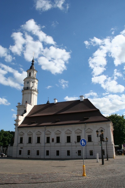 Vaizdas:Kauno gulbė 173.jpg