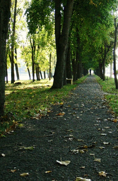 Vaizdas:Mylimųjų takelis 598.jpg