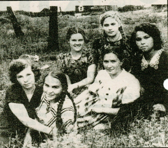 Vaizdas:C6.jpg