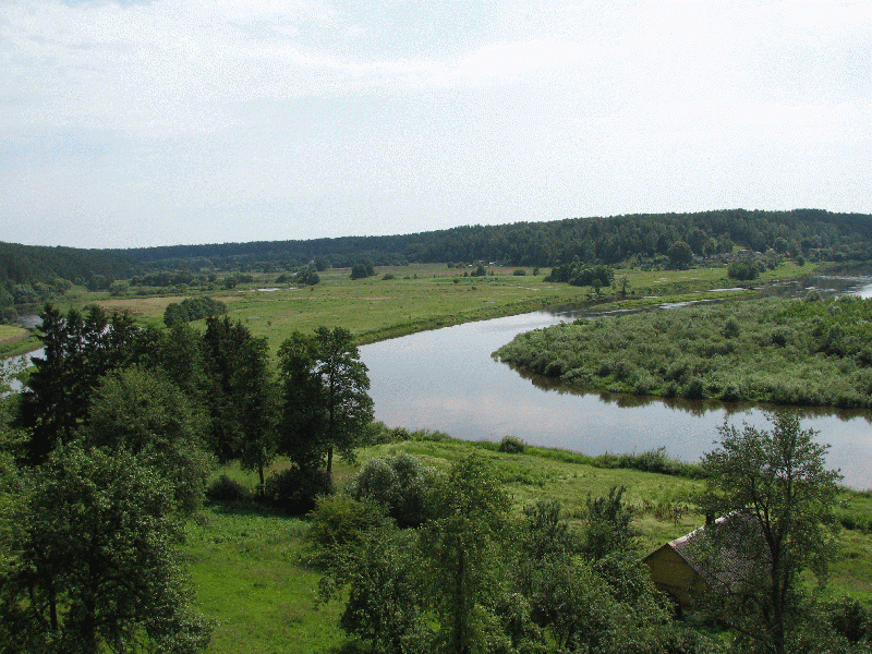 Vaizdas:Merkys įteka į Nemuną 726.gif