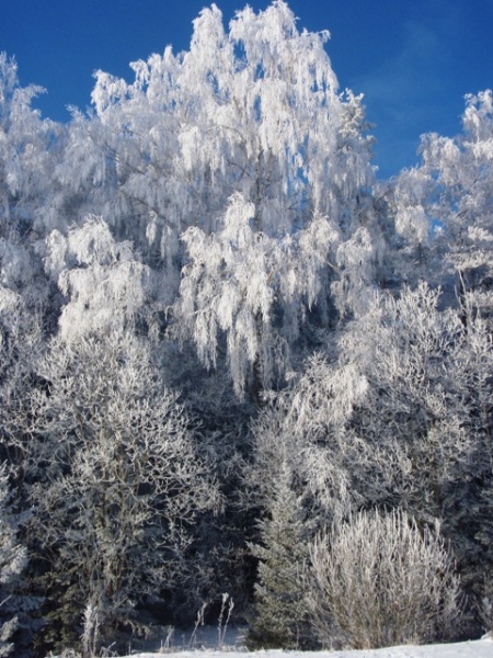 Vaizdas:Klevinių kaime žiemą 897.jpg