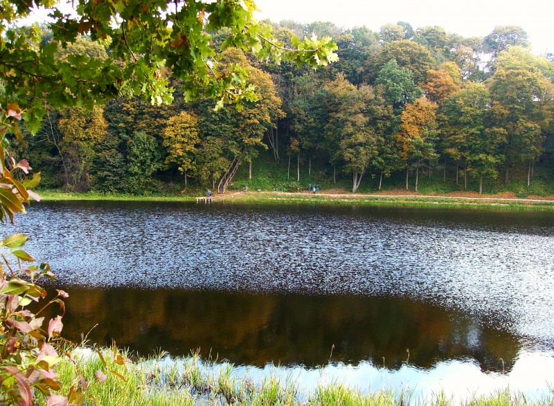 Vaizdas:Lokenėlių piliakalnis rudenį... 406.jpg