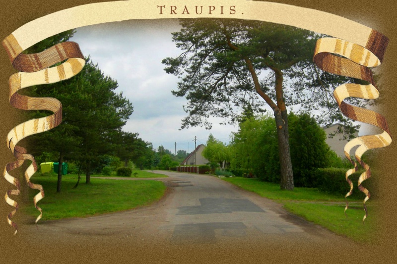 Vaizdas:Traupis 07 784.jpg