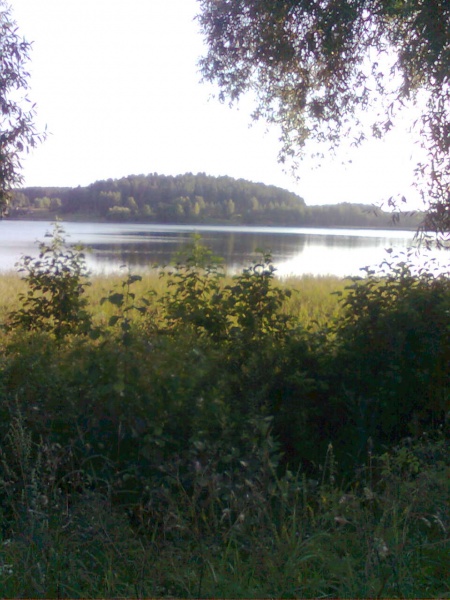 Vaizdas:Zarasaitis vakare 123.jpg