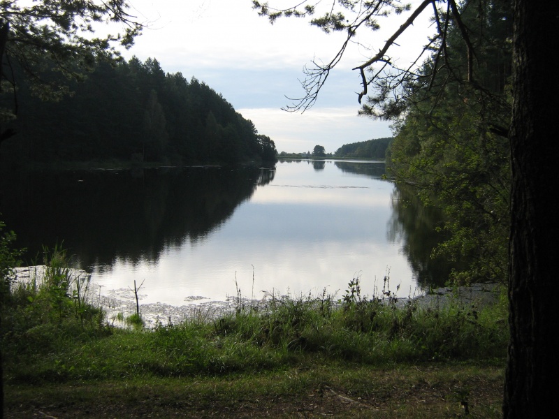 Vaizdas:GELUŽOS TVENKINYS (Trakų r.) 49.jpg