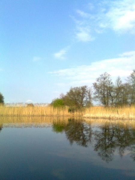 Vaizdas:Upė. 282.jpg