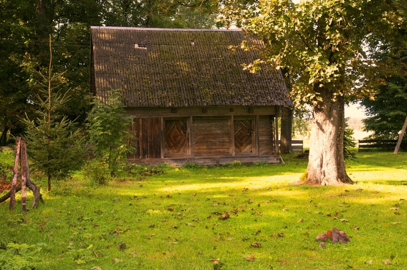 Vaizdas:Baltrakis , Vitkauskynė, klėtis 586.jpg