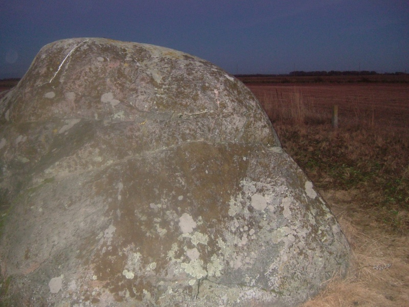 Vaizdas:Vienišius rudenio arimuose...(Siponių pėduotasis akmuo) 386.jpg