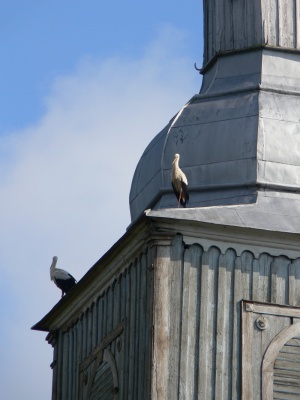 Bažnyčios bokštai - gandrų mėgstama vieta