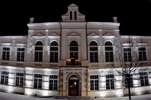 Žydrūnas Budzinauskas