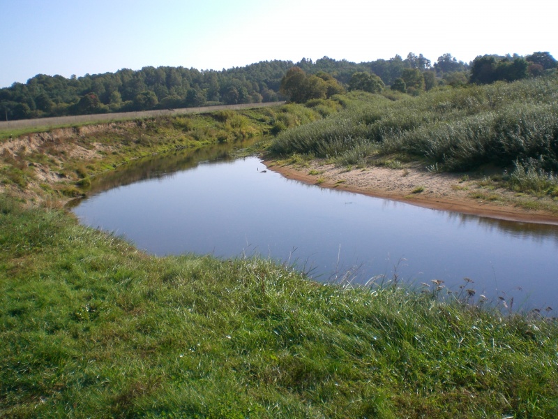 Vaizdas:Minijos vingis (Gargždai) 572.jpg