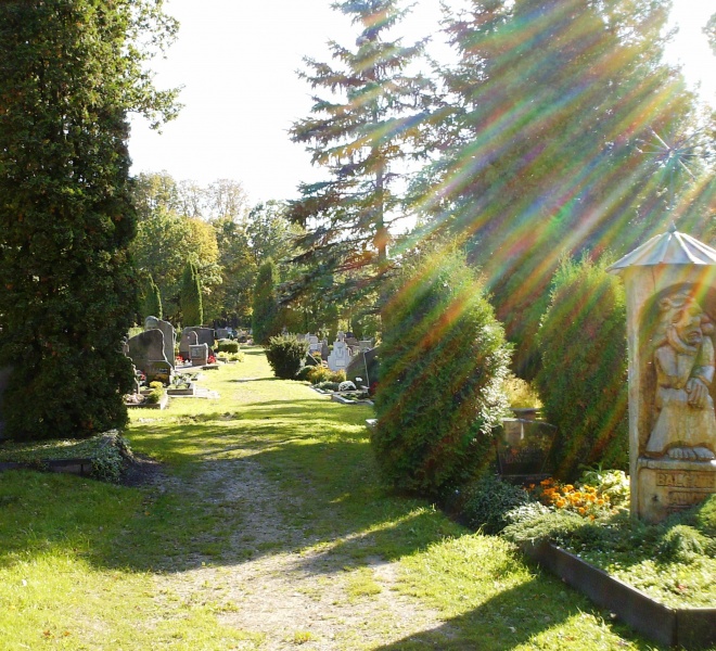 Vaizdas:Eržvilko kapinės 827.jpg