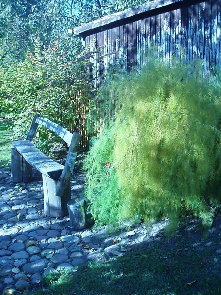Vaizdas:Pa100148 696.jpg