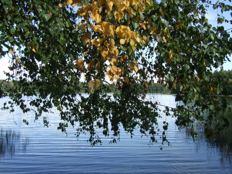 Vaizdas:Platelių ežeras pasitinka rudenį 902.jpg