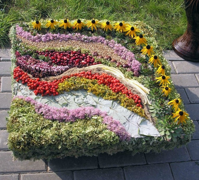 Vaizdas:Rudenėlio "tortas" 976.jpg