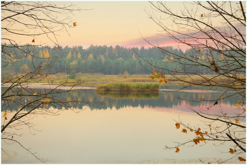 Vaizdas:Rudens pastelė 680.jpg