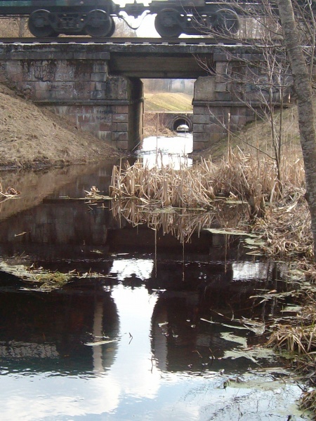 Vaizdas:Laisvalaikio popietė 298.jpg
