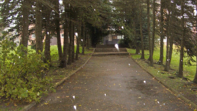 Vaizdas:Palentinis 672.jpg
