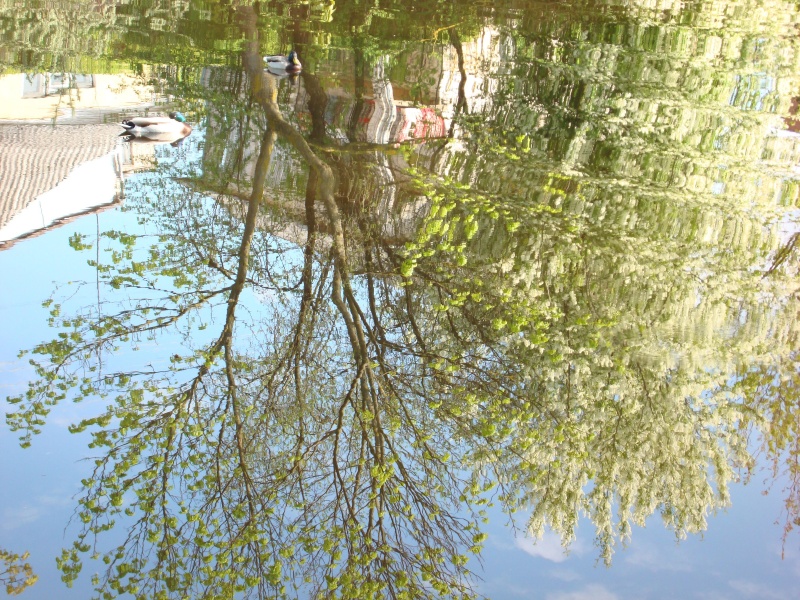Vaizdas:Atspindžiai vandenyje 865.jpg