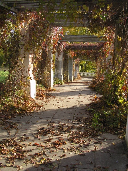 Vaizdas:Ruduo kviečia į parką 731.jpg