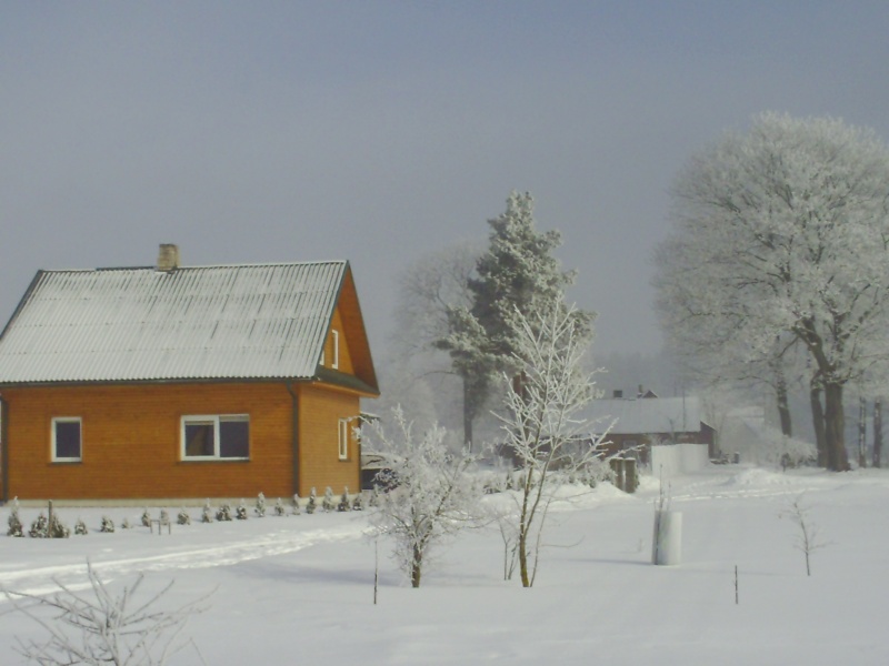 Vaizdas:2010 m. Vyžuonos kovo 17 d. 961.jpg