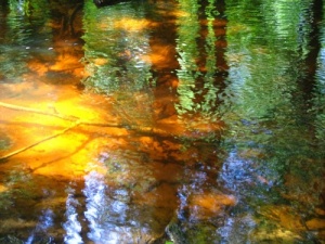 Gyva akvarelė