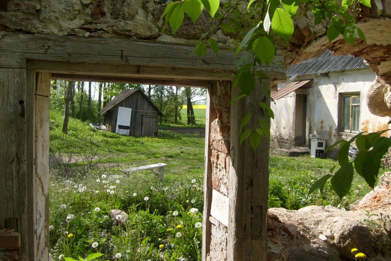 Vaizdas:Joniškio rajono Vaizgučių dvaro griuvėsiai 253.jpg