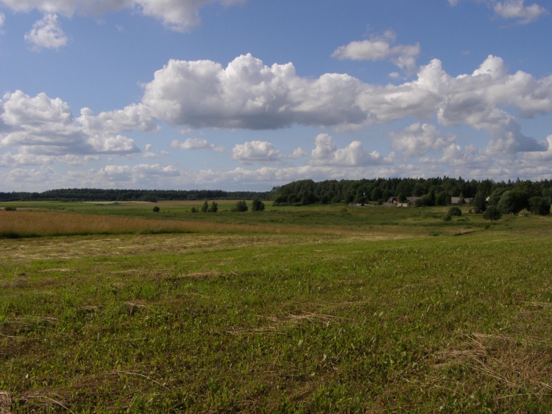 Vaizdas:Vasara kaimo laukuose 328.jpg