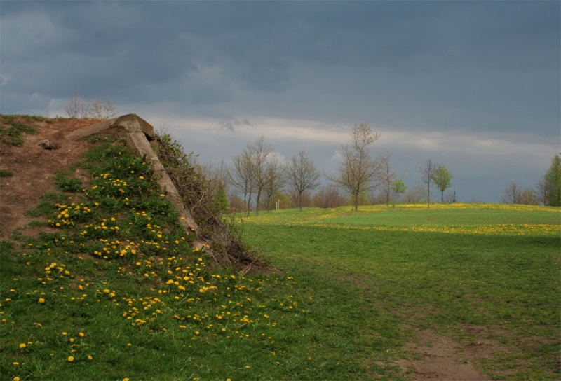 Vaizdas:Basanavičiaus gimtinėje 664.jpg