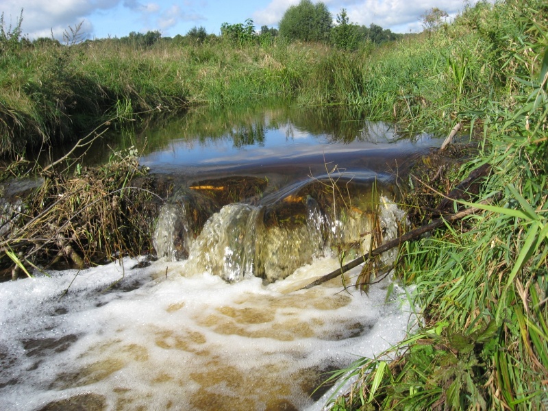 Vaizdas:Bebrų krioklys 881.jpg