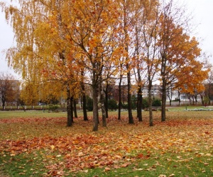 Mažeikiai