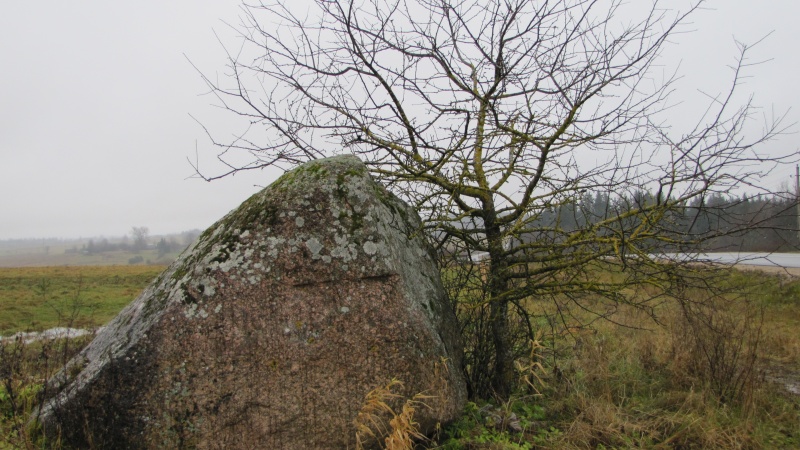 Vaizdas:Nevieriškės akmuo 115.jpg