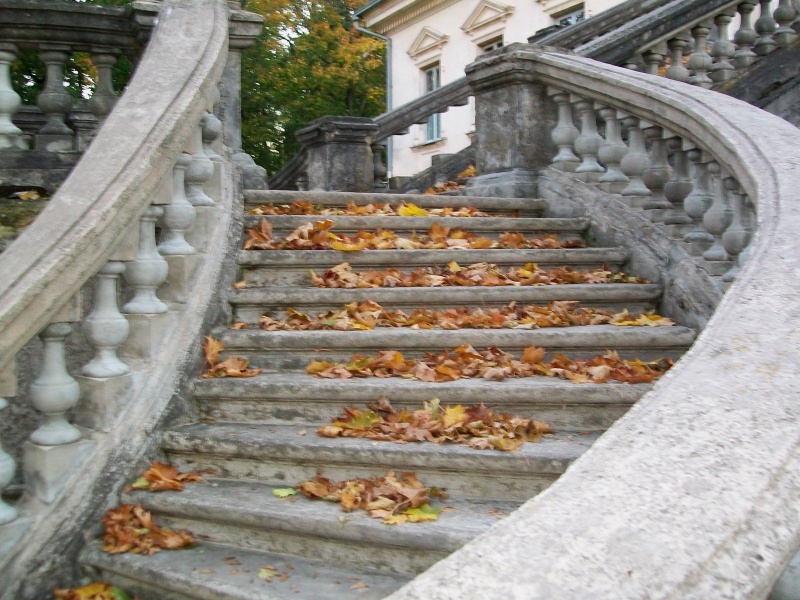 Vaizdas:Dvaro laiptai rudenį 569.jpg