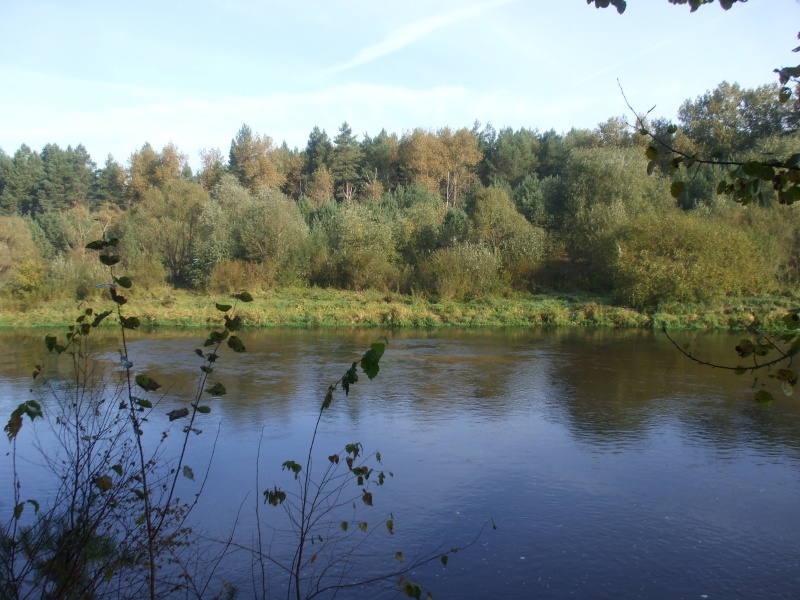 Vaizdas:Rudens mirksnis 115.jpg