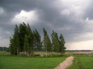 Tėviškės peizažas