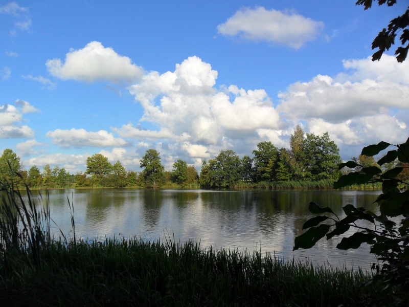 Vaizdas:Šylių tvenkinys 763.jpg